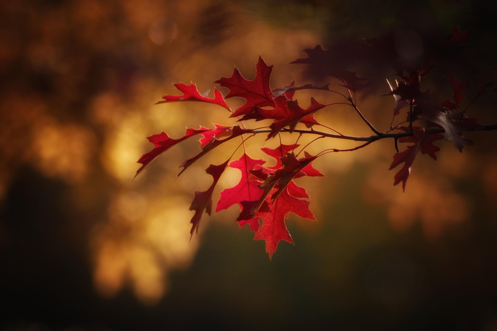 Herbstferien