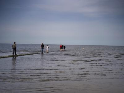 Gross Dsc08654